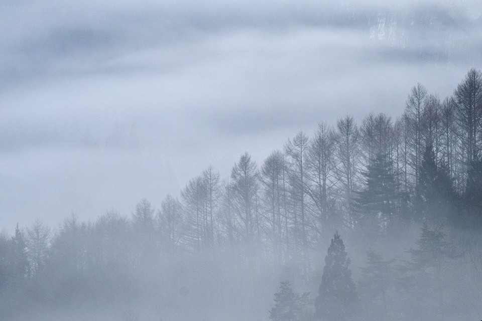 白沢峠から見た水墨画のような雲海に覆われた白馬山麓