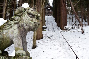 冬の雪景色　戸隠神社 宝光社
