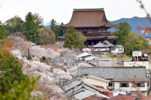 奈良県吉野山の桜